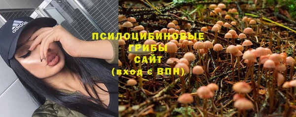 скорость Алзамай