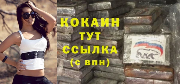 кокс Алексин
