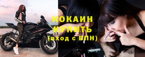 кокс Алексин