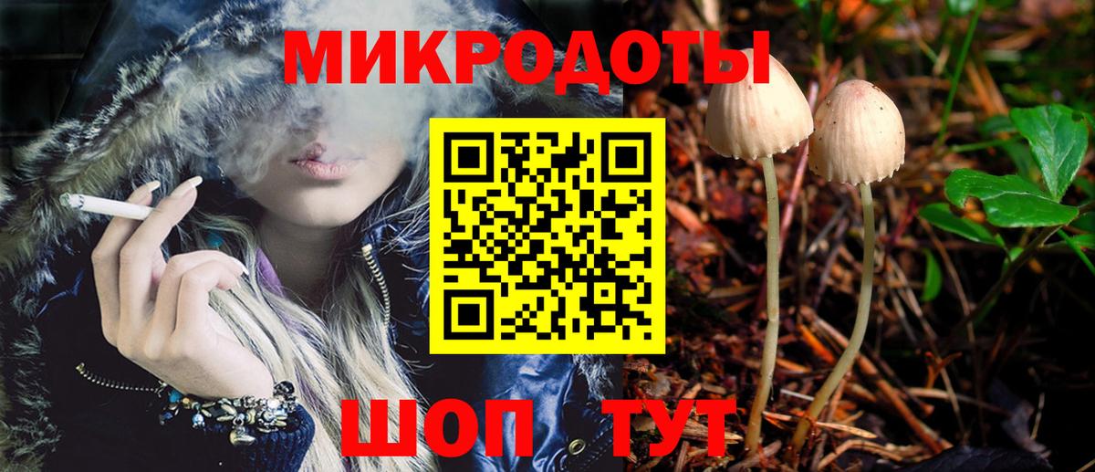 Галлюциногенные грибы Cubensis  Вход с VPN  Димитровград 