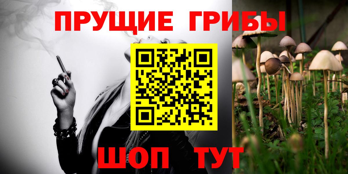 Псилоцибиновые грибы Psilocybine cubensis Димитровград
