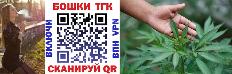 Каннабис планчик купить наркотики цена Димитровград
